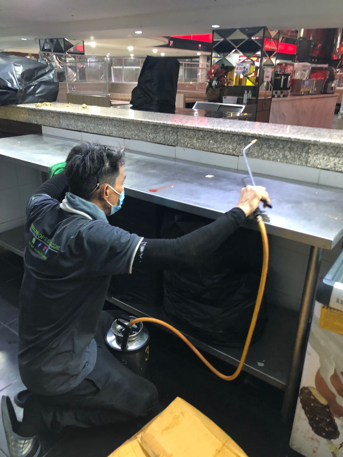 Home Service แมลงสาบ และมด