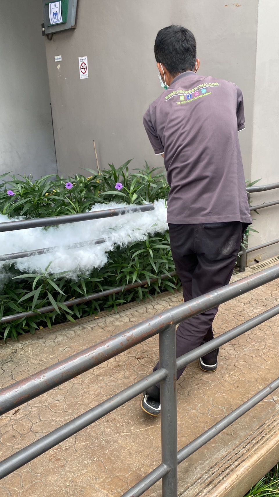 Home Service ยุง