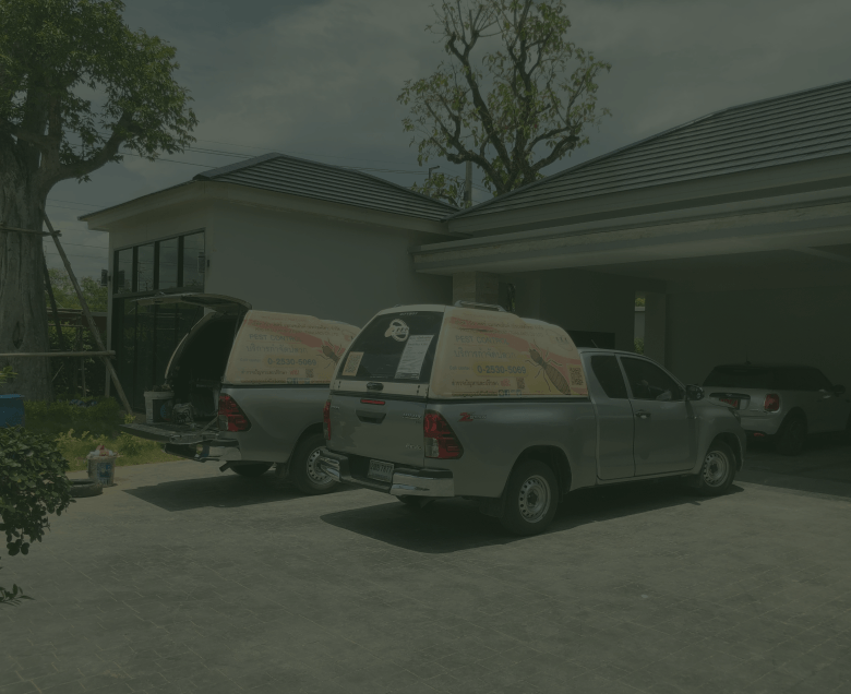 บริษัท โปร เพสท์ แมเนจเม้นท์ (ประเทศไทย) จำกัด