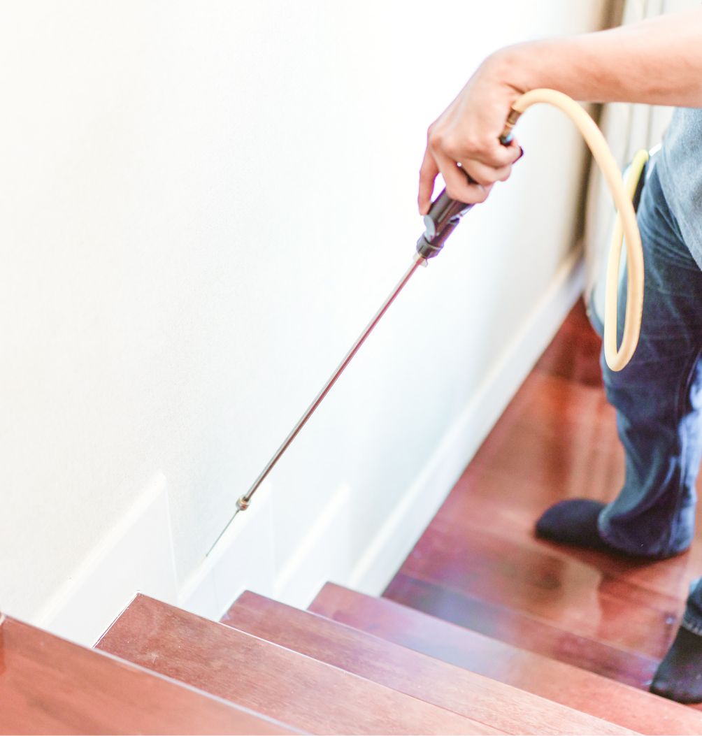 การฉีดพ่นน้ำยานั้นทีมผู้เชี่ยวชาญ จะฉีดกระจายทั่วทุกบริเวณที่แมลง สาบและมดอาศัยอยู่อย่างระมัดระวัง