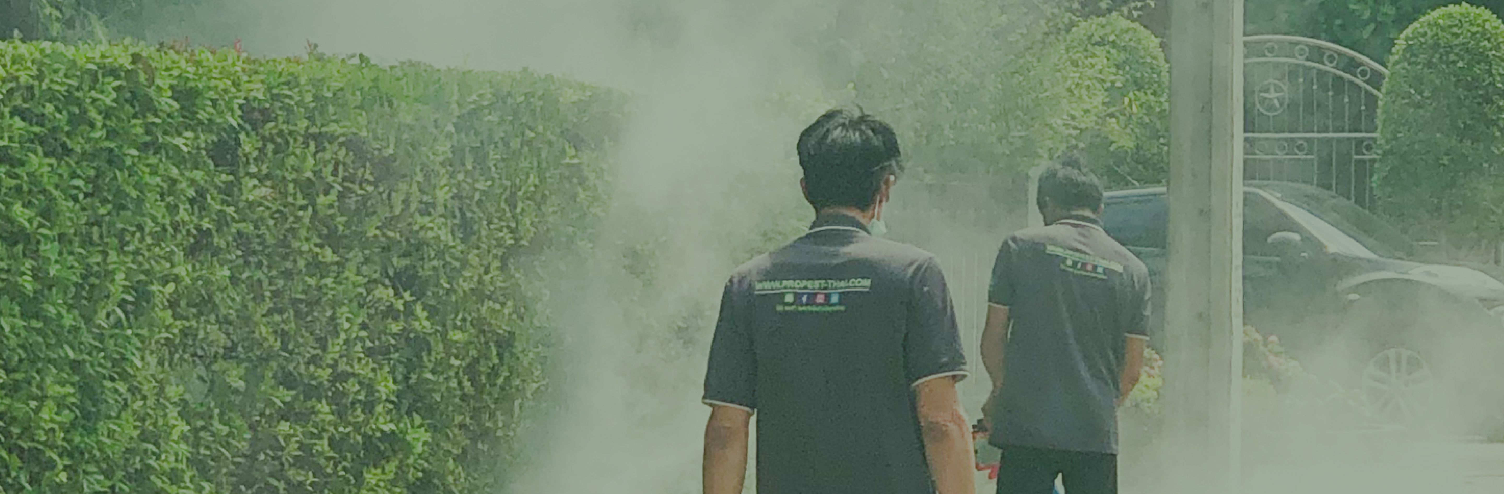 บริษัทโปร เพสท์ แมเนจเม้นท์ (ประเทศไทย) จำกัด ความพึงพอใจของลูกค้าคือจรรยาบรรณของเรา