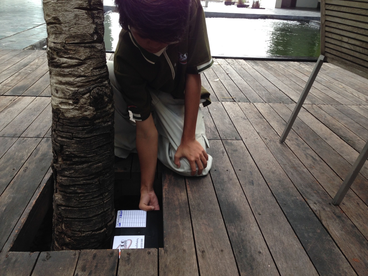 Home Service หนู