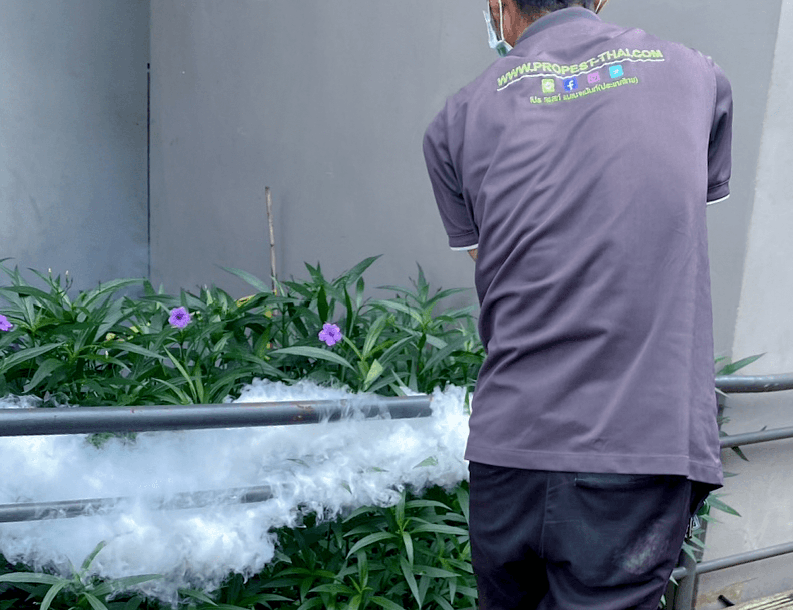 บริษัท โปร เพสท์ แมเนจเม้นท์ (ประเทศไทย) จำกัด