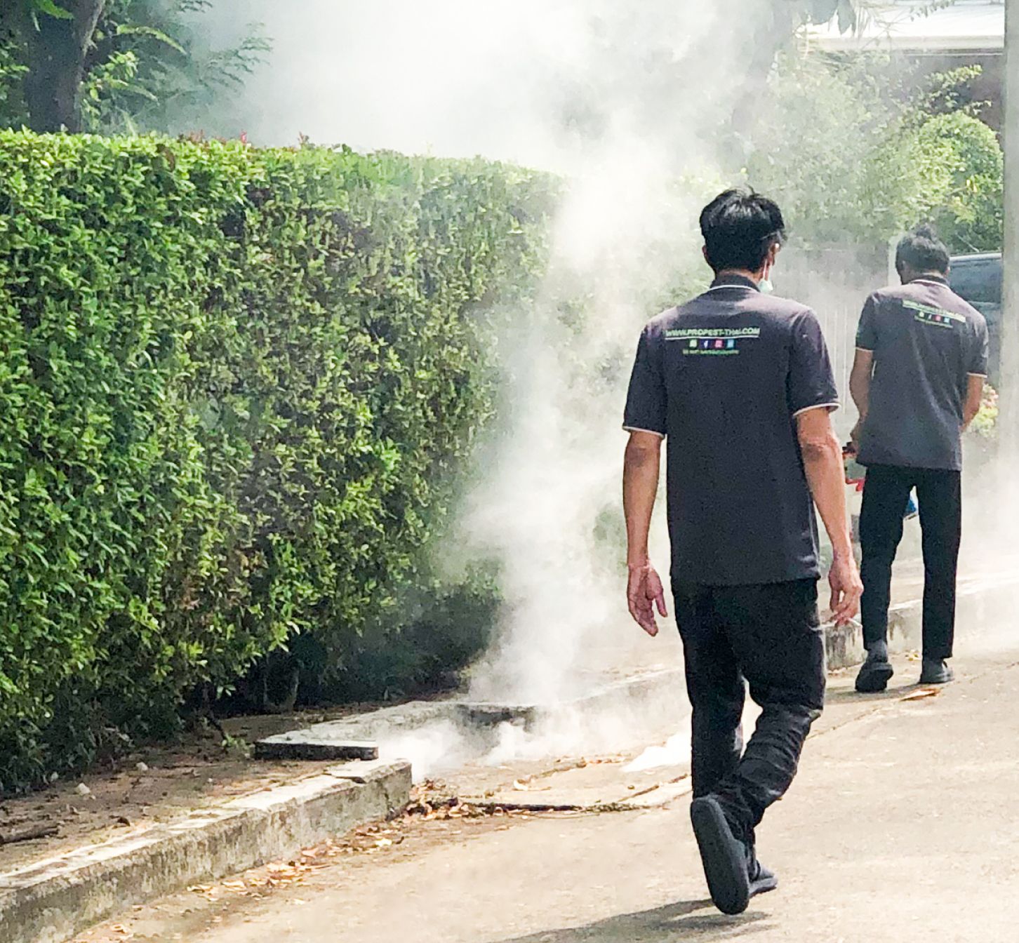 อบควันและพ่นหมอกควัน